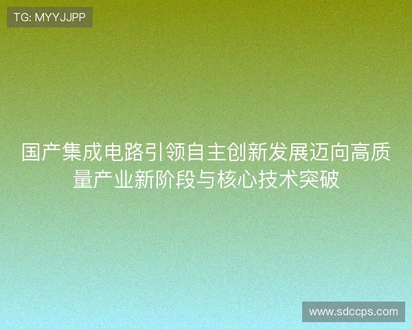 国产集成电路引领自主创新发展迈向高质量产业新阶段与核心技术突破
